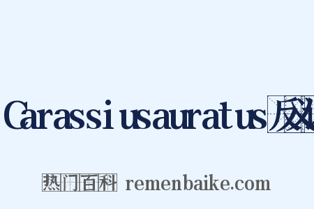 Carassiusauratus反义词是什么意思的图片